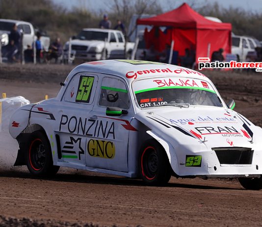 ¡MIRA QUE GORDINI TE ESTÁ ESPERANDO!