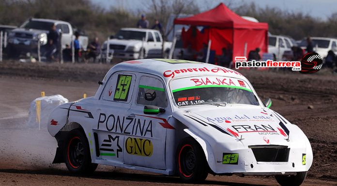 ¡MIRA QUE GORDINI TE ESTÁ ESPERANDO!