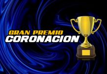 ¿ADRENALINA? LLEGÓ EL FINAL!!! MARTES 6 DE OCTUBRE 21.30 HS.