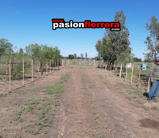 Esperando por la 2da. Fecha, se trabaja en el “Víctor García…”
