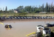 Suspendida la 3° fecha de Speedway, ¿Porqué? mira como está el circuito de ASA…